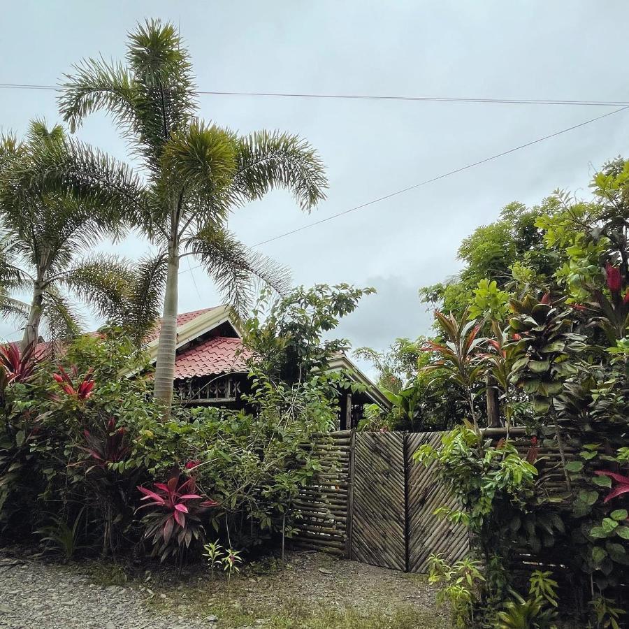 Bed and Breakfast The Jungle Hut Baler Exteriér fotografie