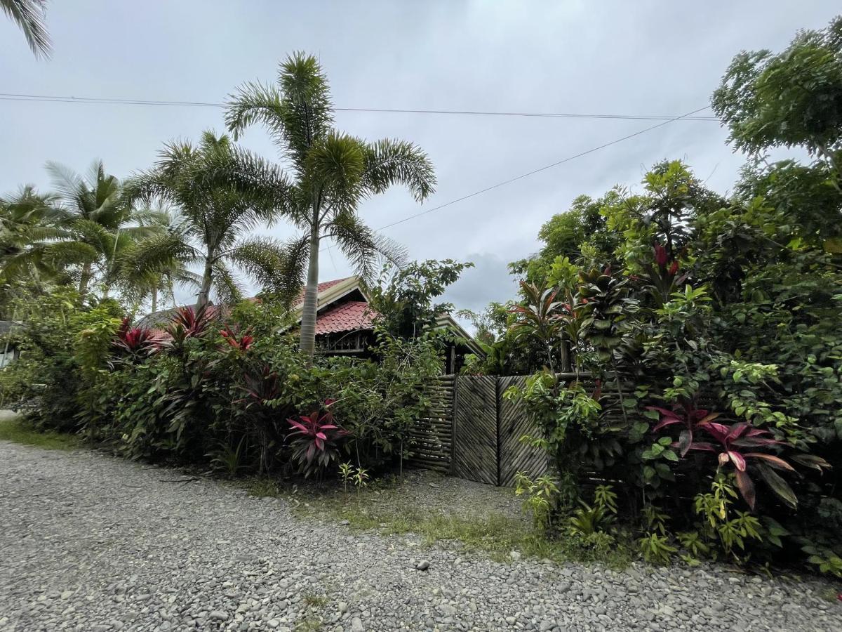 Bed and Breakfast The Jungle Hut Baler Exteriér fotografie